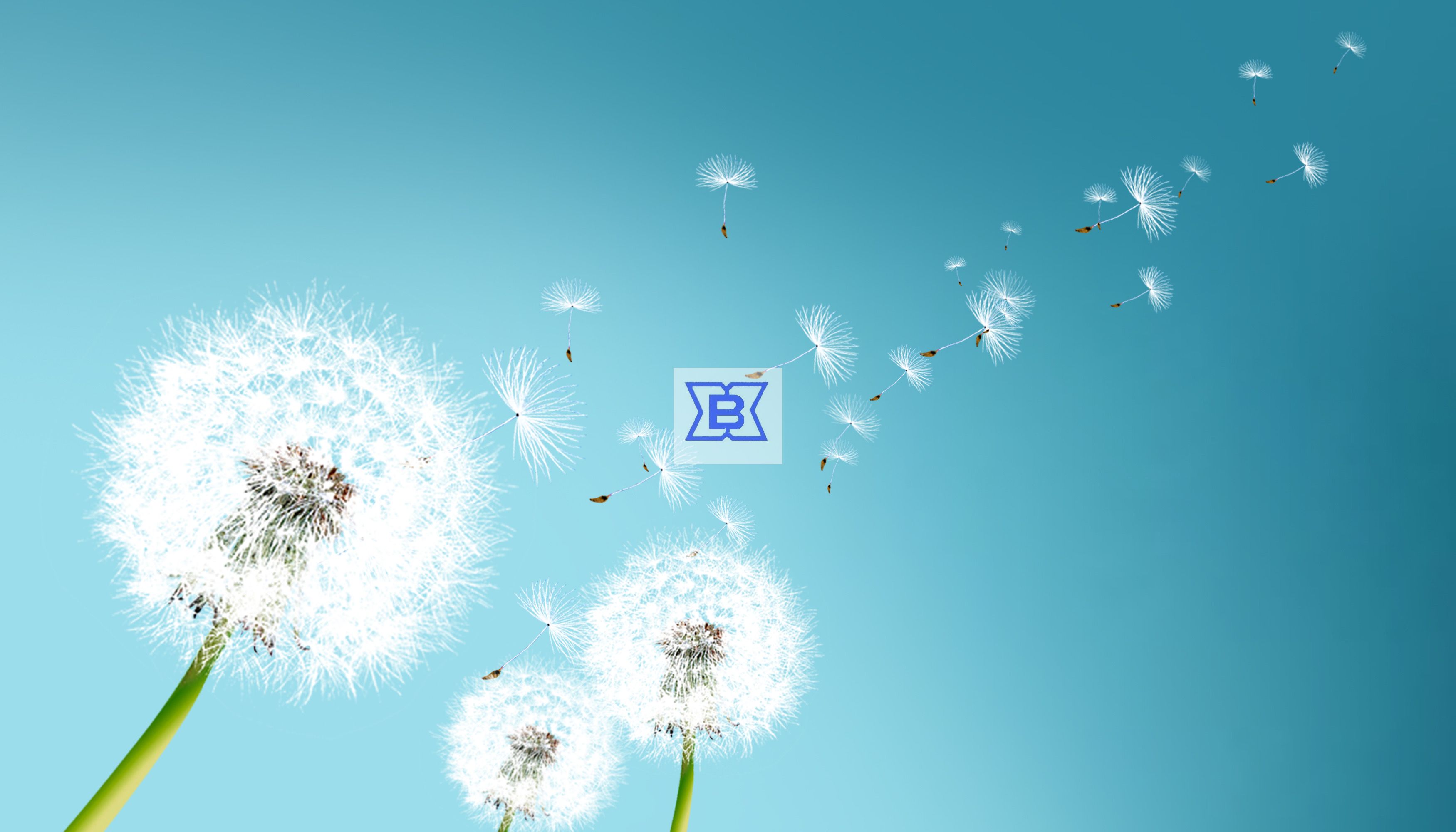 首页| 不朽情缘MG官网登录入口